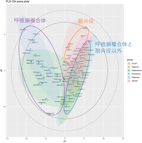 図1 各化合物を曝露したHepG2細胞、溶媒（DMSO）のみを曝露したHepG2細胞のメタボローム解析から得られたデータに多変量解析（PLS-DA）を行った結果　｜　青色と緑色で示された円は呼吸鎖複合体阻害（ロテノン、ネファゾドン）、オレンジ色で示された円は脱共役（CCCP）のグループを示す。呼吸鎖複合体（紫色の破線で囲んだもの）、脱共役（オレンジ色の破線で囲んだもの）は、β酸化阻害（ペルヘキシリン）、陽性対照（ジギトニン）および溶媒（DMSO）のグループ（赤色の破線で囲んだもの）と良好に分離しており、これらの分子プロファイルが異なることを意味する。