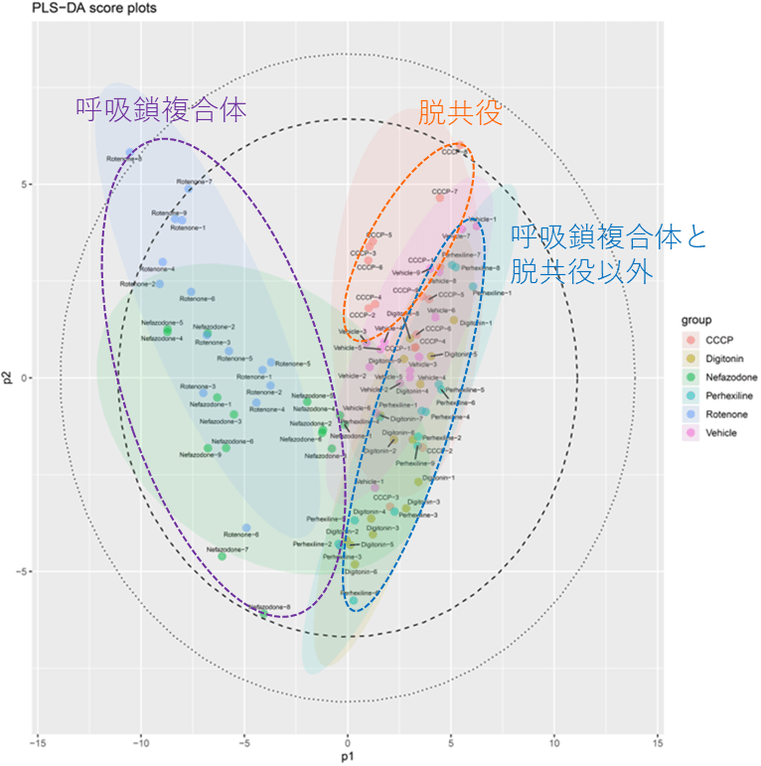 図1 各化合物を曝露したHepG2細胞、溶媒（DMSO）のみを曝露したHepG2細胞のメタボローム解析から得られたデータに多変量解析（PLS-DA）を行った結果　｜　青色と緑色で示された円は呼吸鎖複合体阻害（ロテノン、ネファゾドン）、オレンジ色で示された円は脱共役（CCCP）のグループを示す。呼吸鎖複合体（紫色の破線で囲んだもの）、脱共役（オレンジ色の破線で囲んだもの）は、β酸化阻害（ペルヘキシリン）、陽性対照（ジギトニン）および溶媒（DMSO）のグループ（赤色の破線で囲んだもの）と良好に分離しており、これらの分子プロファイルが異なることを意味する。