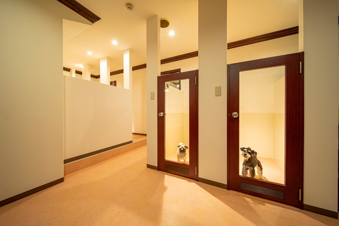ドッグホテル&老犬ホーム「WAKUWAKU(ワクワク)」