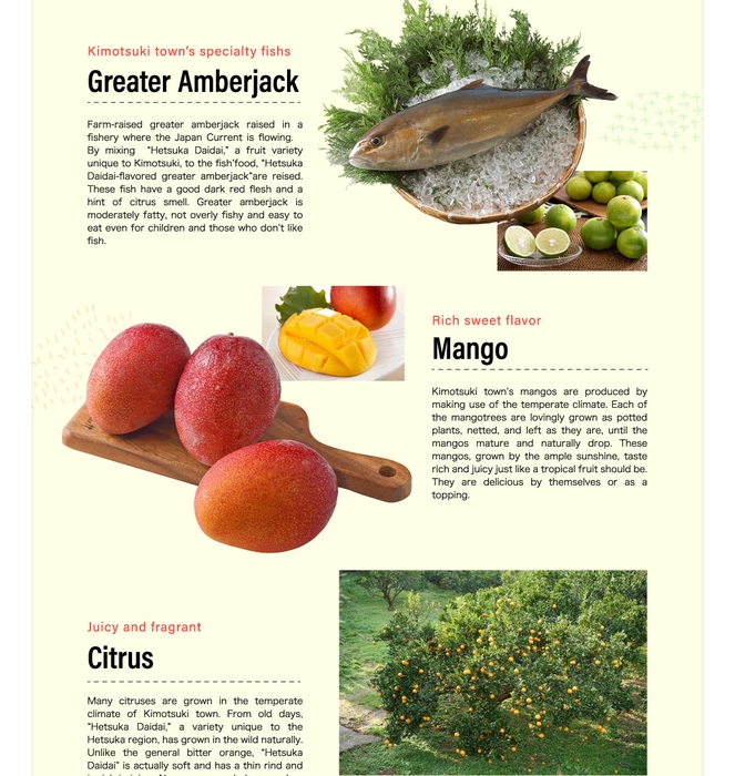 「旅色 -肝付町［鹿児島県］-」の英語翻訳版第二特集2