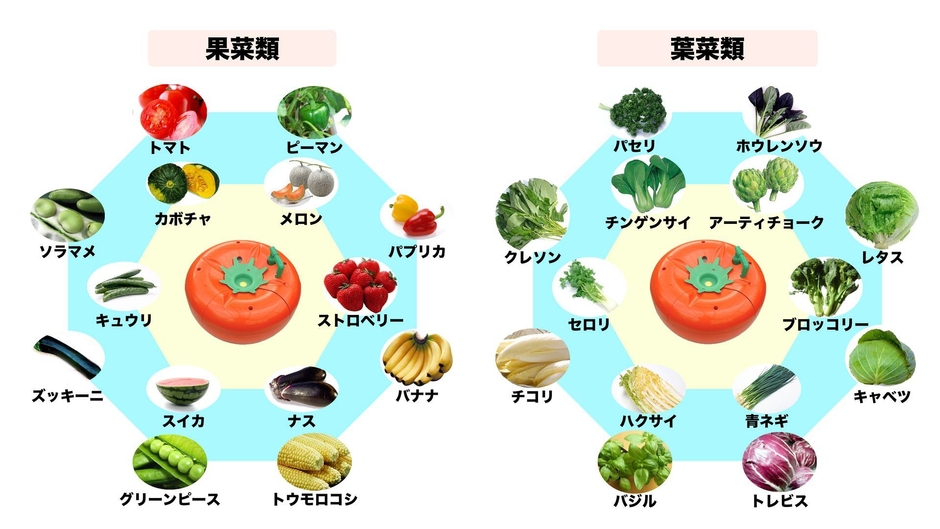 育てられる果実・野菜例