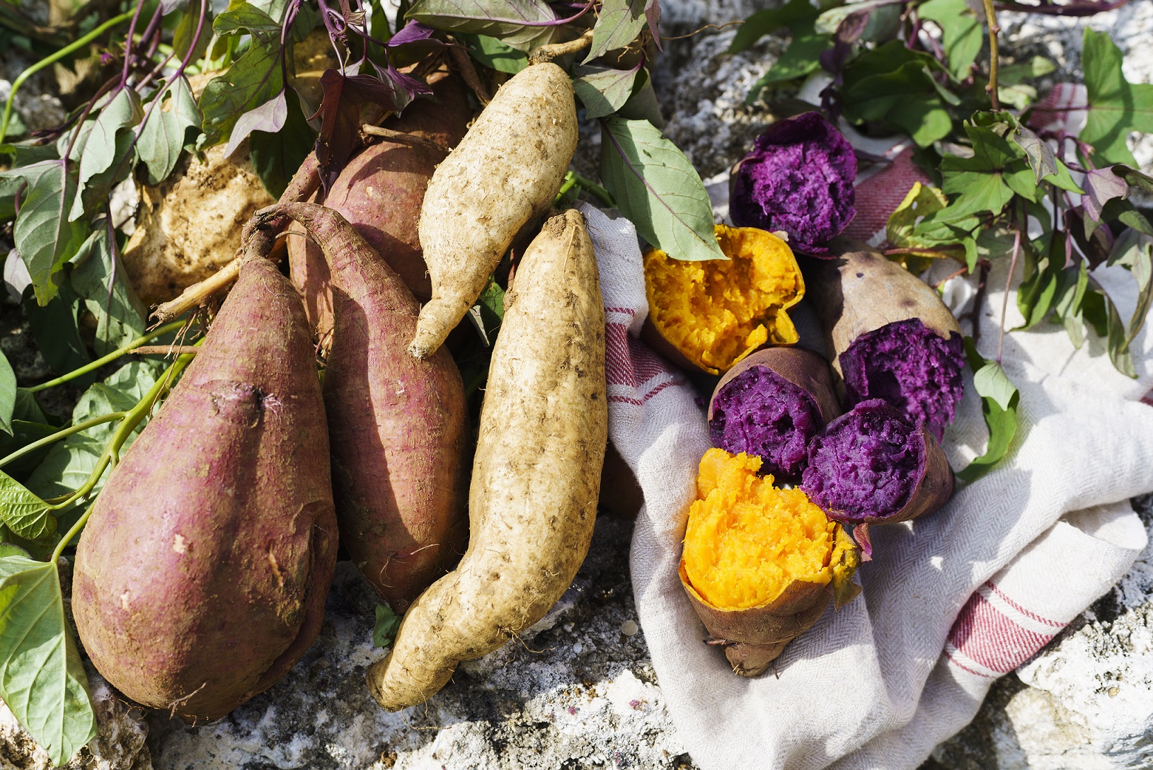 星野リゾート 沖縄の紅イモを応援するデザートメニューを提供~コロナ禍のフードロスを防ぎ、地域の魅力を発信する取り組み~