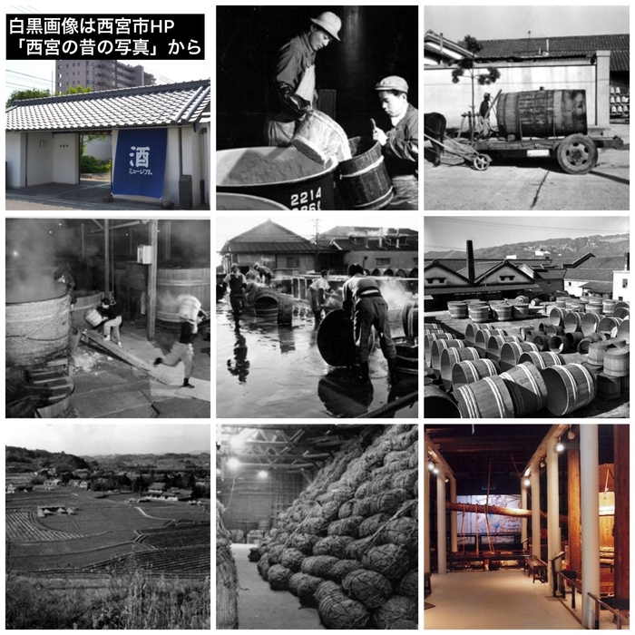 日本酒が環境保全に・酒ミュージアムも