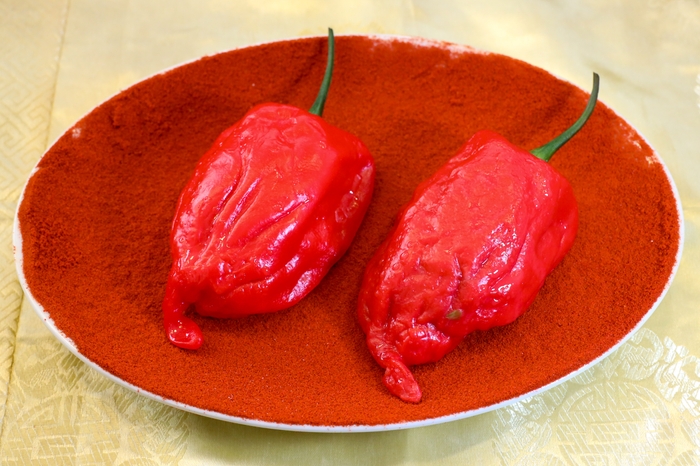 決してパプリカと言わせません!眩しいほど真っ赤な「真夏のシン・ジャンボ餃子」