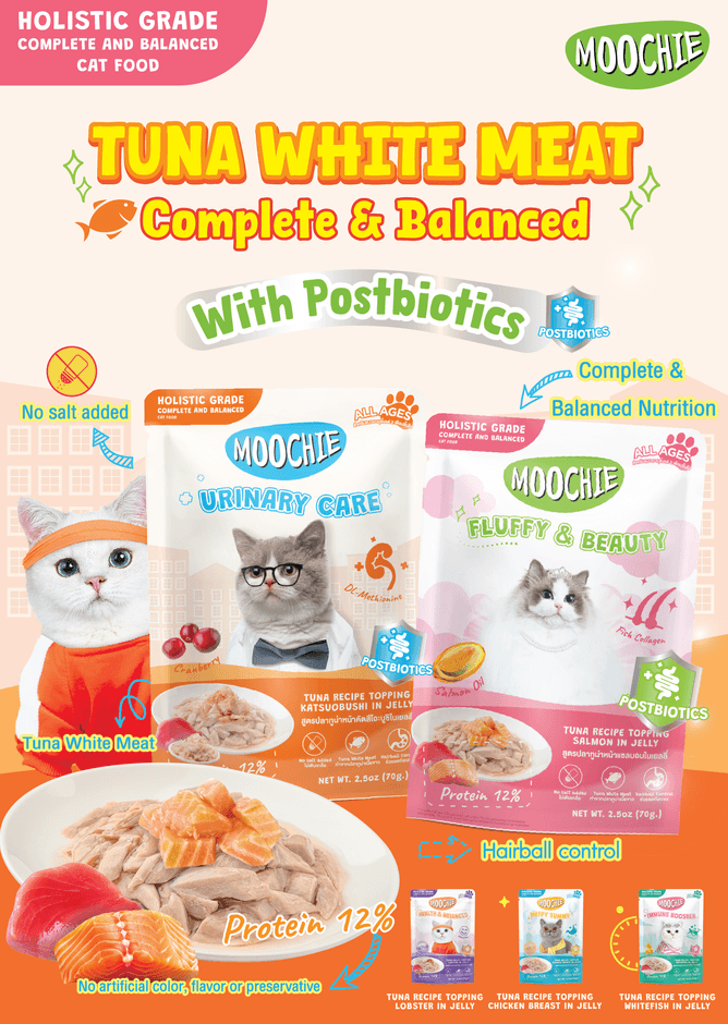 製品イメージ 10