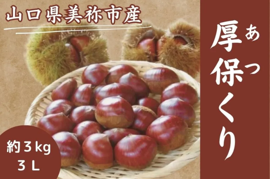 「アツアツ!!」HOTな秋の味覚が今年も登場!
山口県ブランド栗「厚保(あつ)くり」を
JAタウンのショップ「正直やまぐち」で予約販売開始!