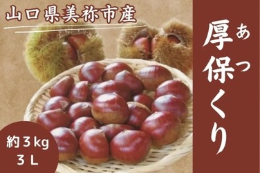「アツアツ!!」ＨＯＴな秋の味覚が今年も登場！
山口県ブランド栗「厚保（あつ）くり」を
ＪＡタウンのショップ「正直やまぐち」で予約販売開始！