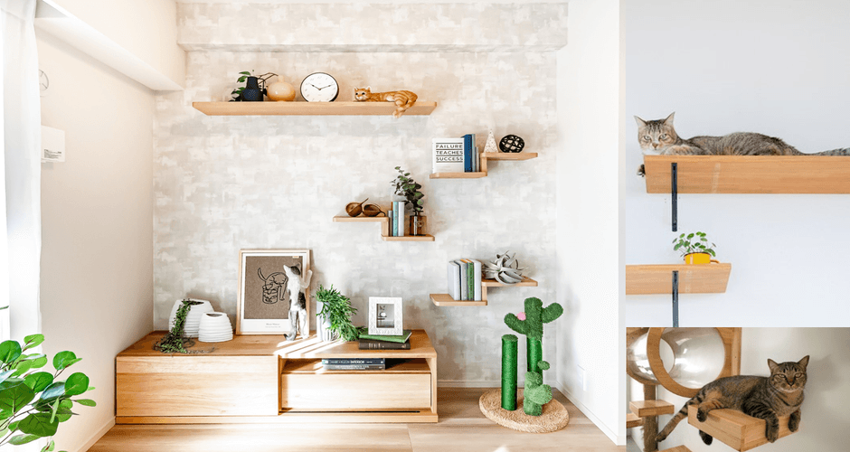 【収納棚+キャットウォーク】※モデルルーム