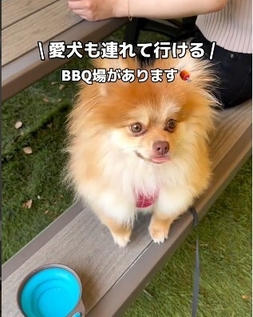 あや様(大泉緑地店)