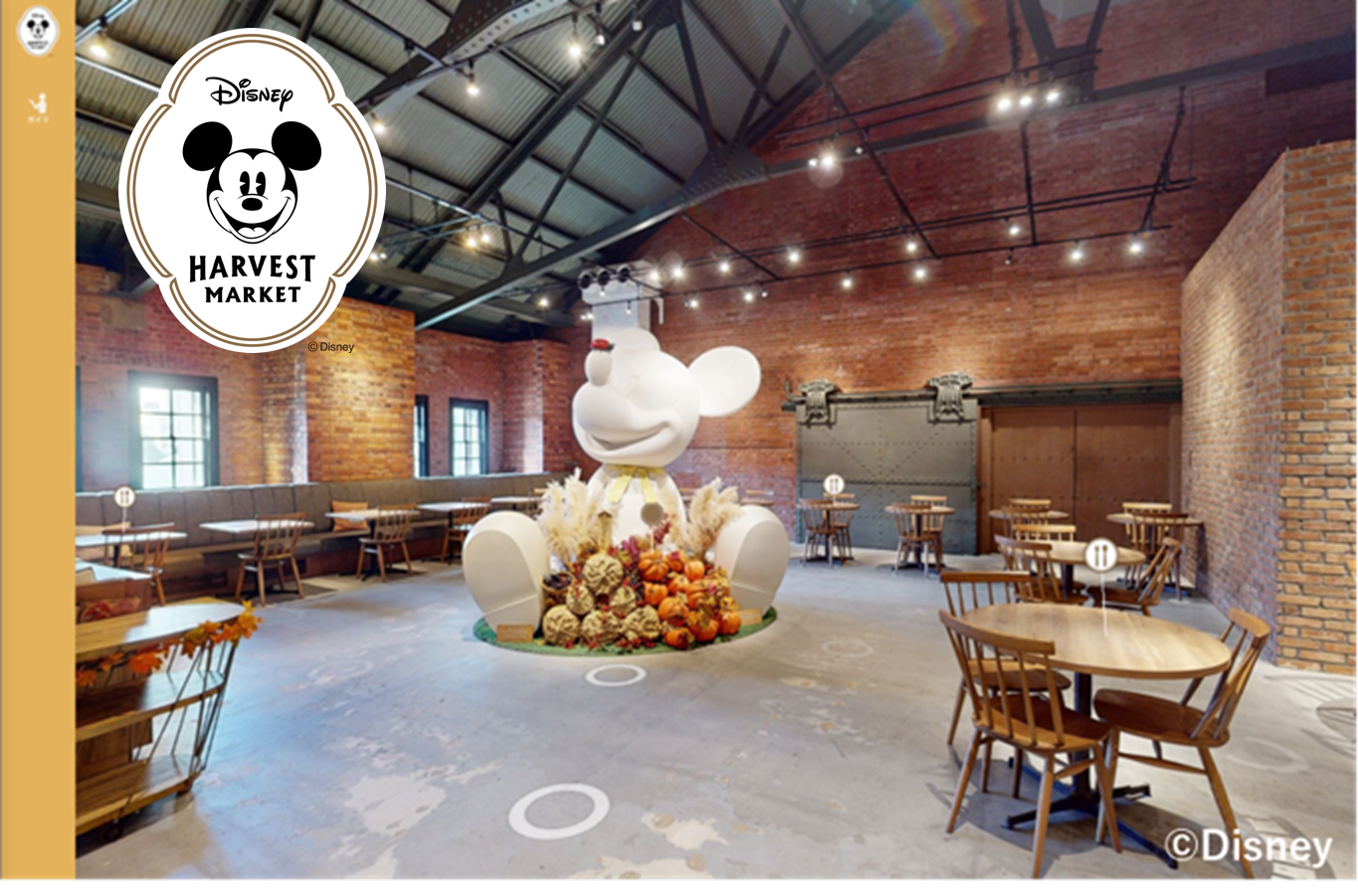 Disney HARVEST MARKET By CAFE COMPANY