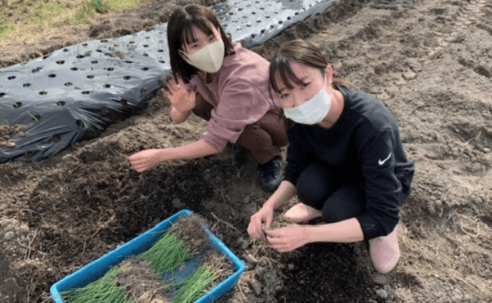 「#突撃!農女ライタープロジェクト」の活動の様子