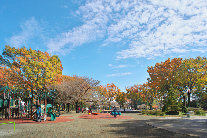 秋の東村山中央公園