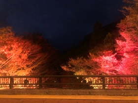 紅葉を楽しむ秋の夜！仙台・作並温泉「湯神神社ライトアップナイト」で心癒される体験を