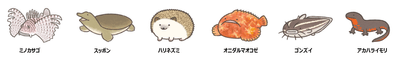 描き下ろしイラスト一例