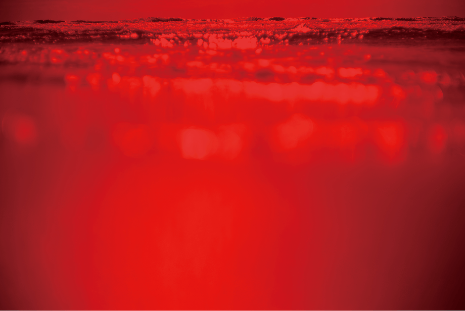 写真作品「LIFEBLOOD」