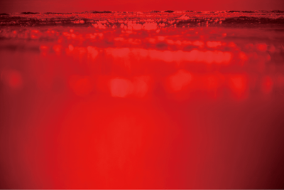 写真作品「LIFEBLOOD」
