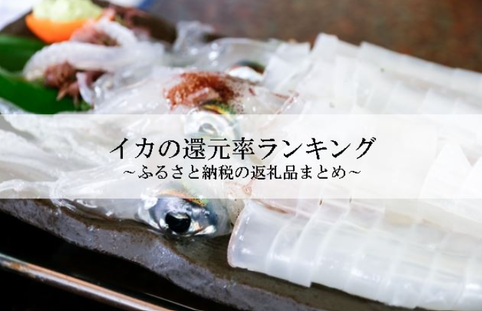 【2026年7月版】ふるさと納税でもらえる『イカ』の還元率ランキングを発表