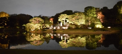 庭紅葉の六義園 夜間特別観賞【11/22～開催】