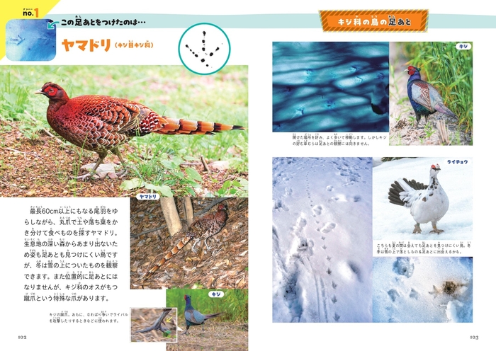 これ、だれの足あと?