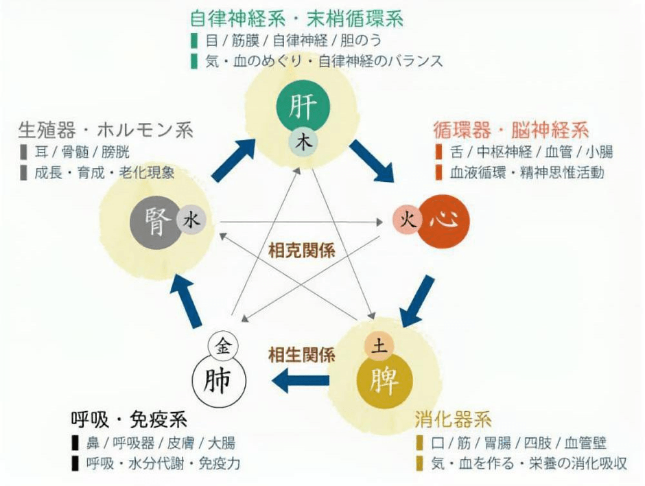 漢方で考える眼精疲労