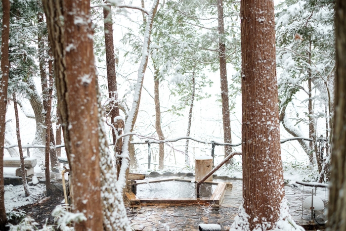 みやぎ蔵王 遠刈田温泉・温泉山荘だいこんの花