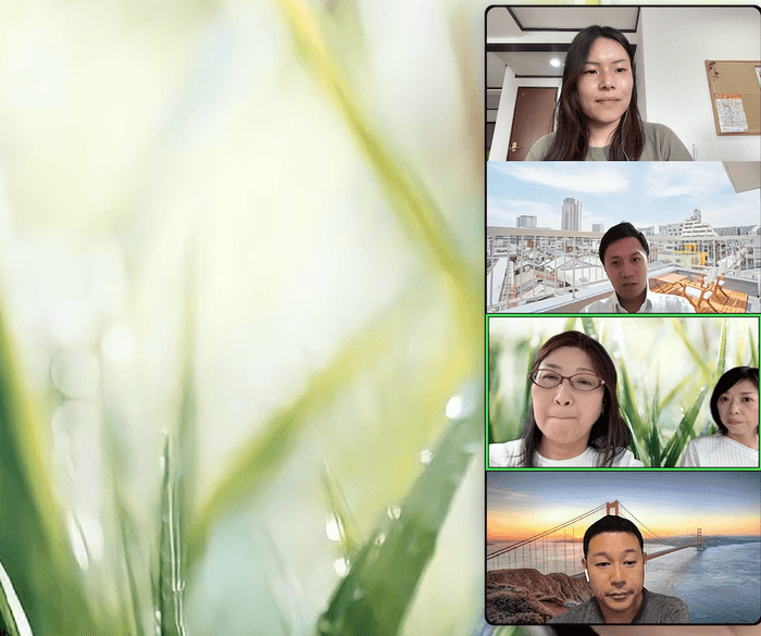 Amato計画に向けたWeb会議の様子