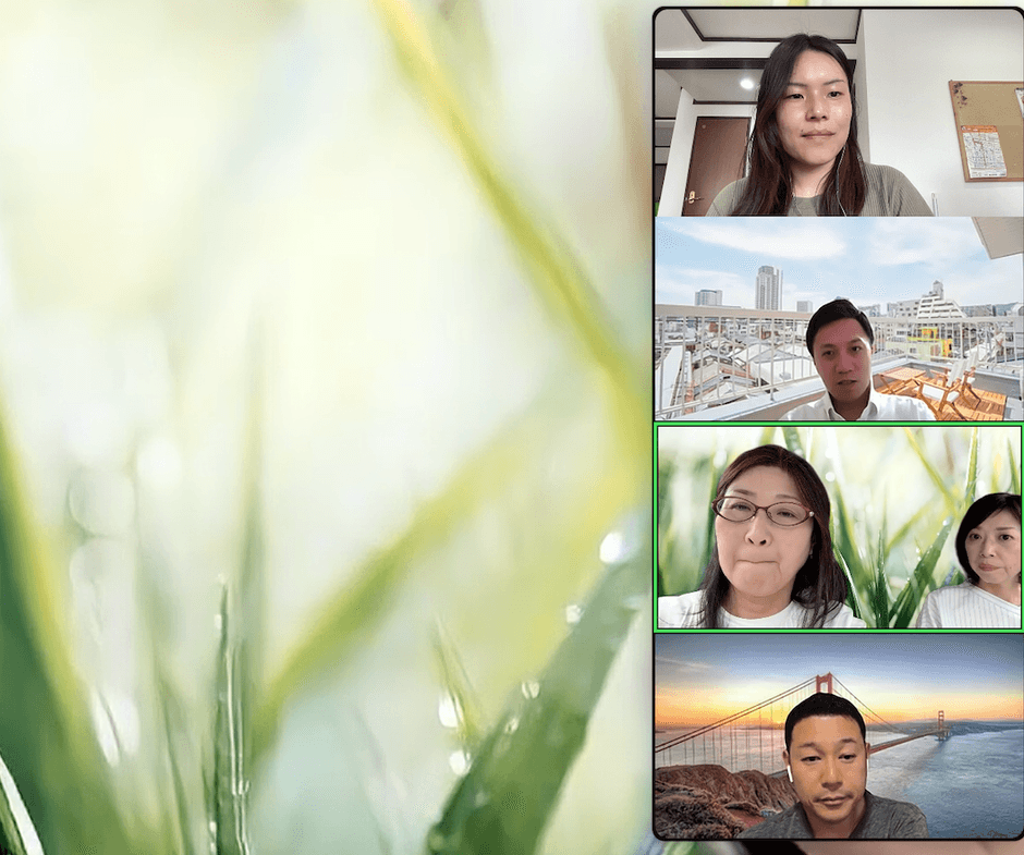 Amato計画に向けたWeb会議の様子