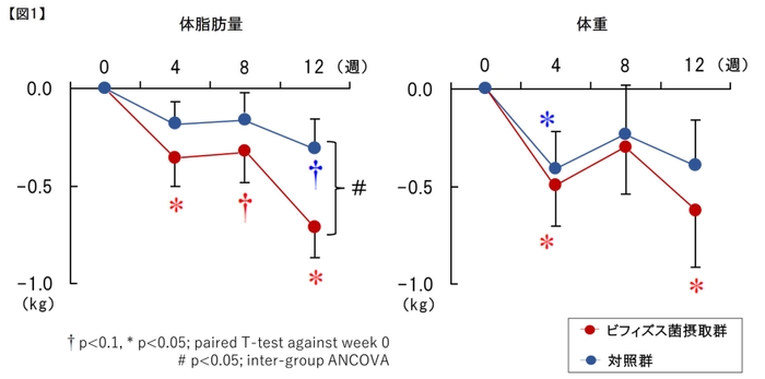 ビフィズス菌摂取による試験結果