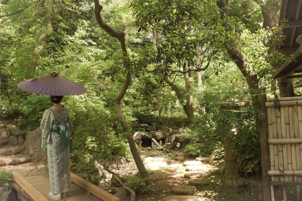 和傘を差した様子のイメージ（殿ヶ谷戸庭園）