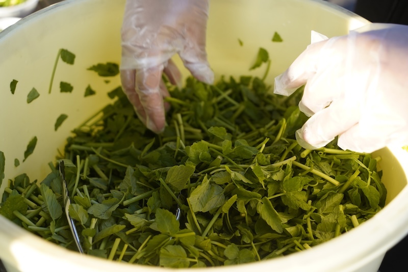 たるいっぱいのせり