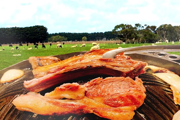 北海道発！クラファンで良質羊肉50トン、食べてください！ ジンギスカン文化を支えてほしいです。 「クラウドファンディングACT NOW」でプロジェクト開始！ 全国からの応援待ちます。