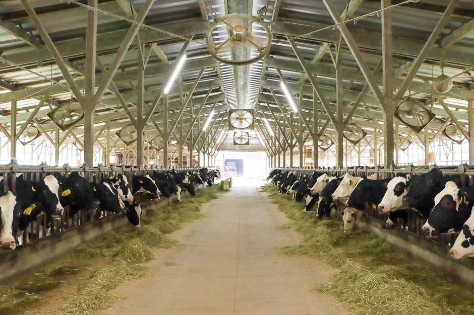 牧場　イメージ