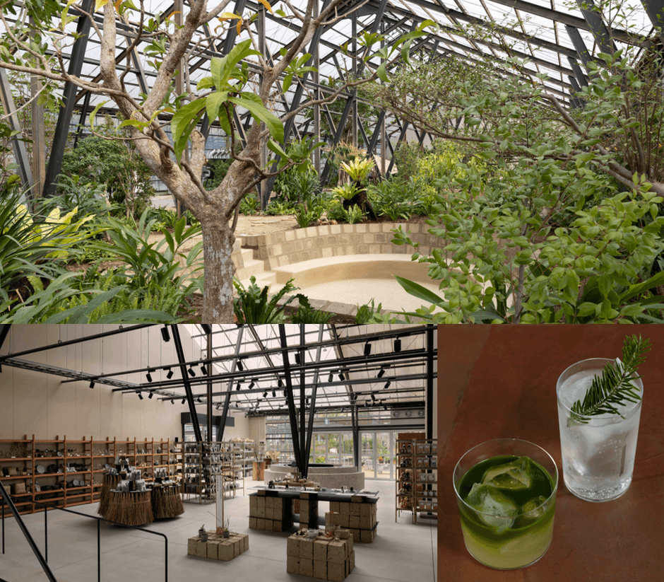 大多喜有用植物苑