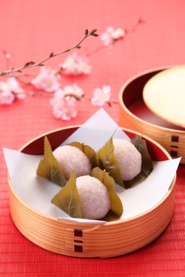 【叶 匠壽庵】