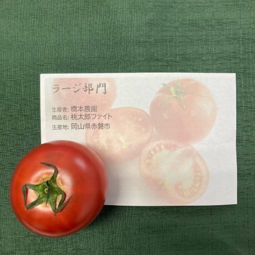 ラージ部門銀賞:桃太郎ファイト