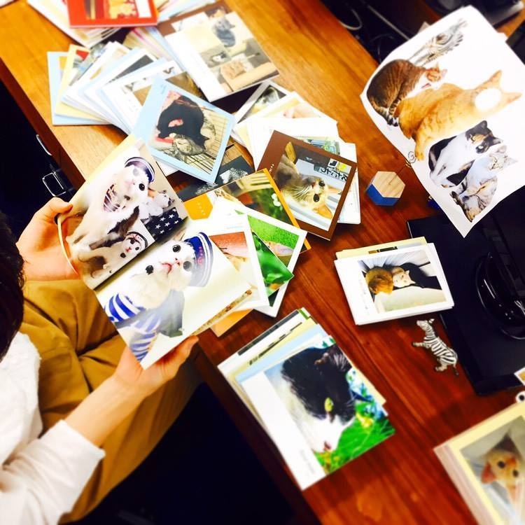 応募作品は1,000作品以上!