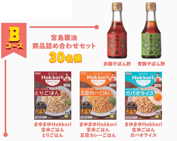 Bコース 宮島醤油商品詰め合わせセット イメージ図