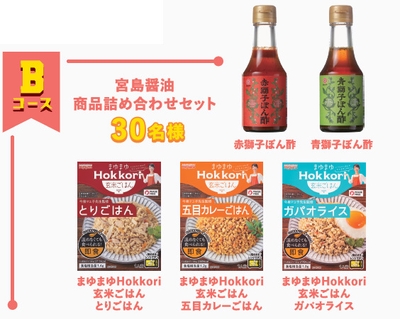 Bコース　宮島醤油商品詰め合わせセット　イメージ図
