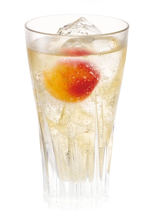 The CHOYA 梅プレッソ イメージ