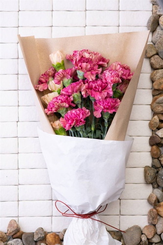 フラワーロス救済【5月13日～31日までにお届け】カーネーションの花束 20本ラッピング ¥3,850 税込＊色や品種はおまかせになります