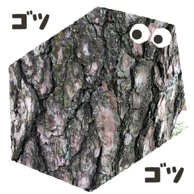 ゴツゴツ
