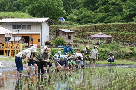 美肌菌が豊富なオーガニック農場で ＜5/24(土)＞田植え体験＆キャンプ宿泊