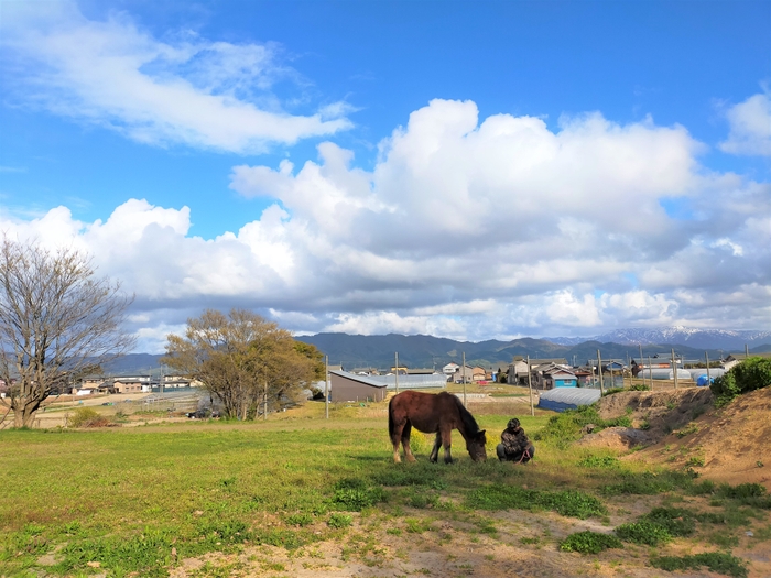 牧場の前