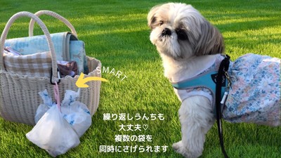 バッグにいれない新提案