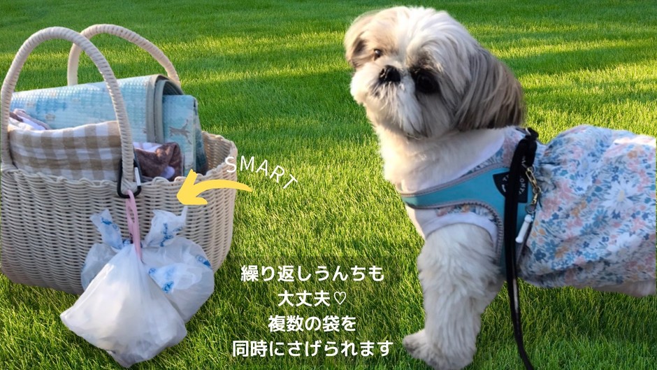 バッグにいれない新提案