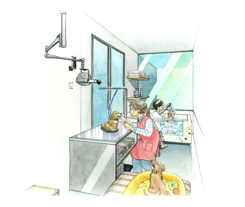 トリミング台やドライヤーもプロ仕様で負担も少なく