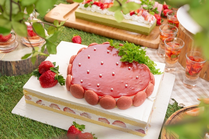 大きな苺のケーキ