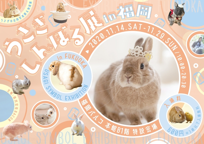 キービジュアル(横)