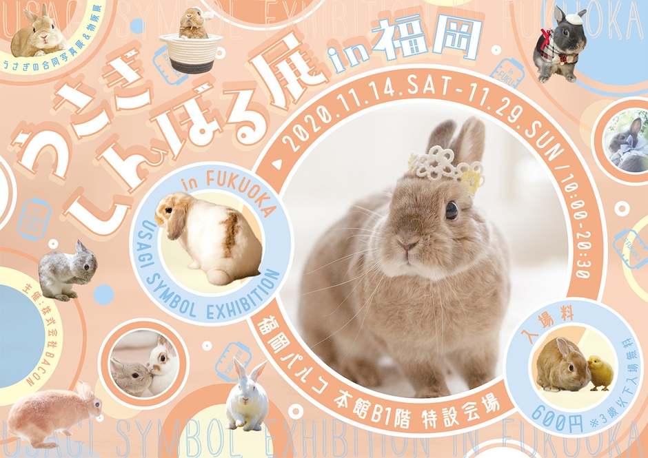 キービジュアル(横)