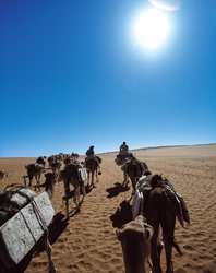50年にわたり撮り続けた「塩の現場」の作品約80点を紹介　 片平孝写真展「塩の旅　～地球の塩の現場に立つ～」 たばこと塩の博物館(東京・墨田区)で1月31日(土)から開催